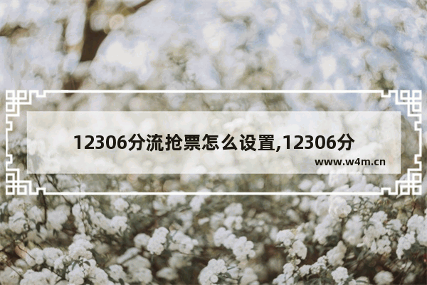 12306分流抢票怎么设置,12306分流抢票有铃声提示吗