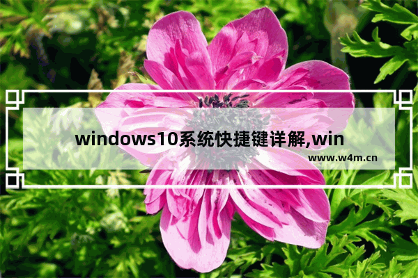 windows10系统快捷键详解,windows10常用快捷键大全