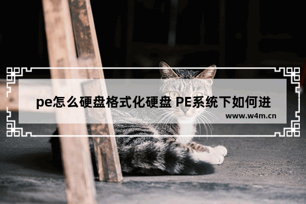 pe怎么硬盘格式化硬盘 PE系统下如何进行硬盘格式化