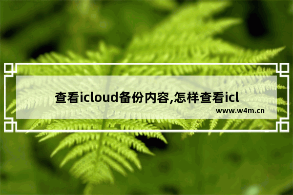 查看icloud备份内容,怎样查看icloud备份数据