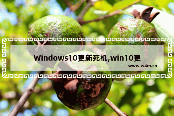 Windows10更新死机,win10更新时死机