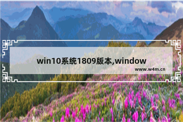 win10系统1809版本,window10 1803正式版