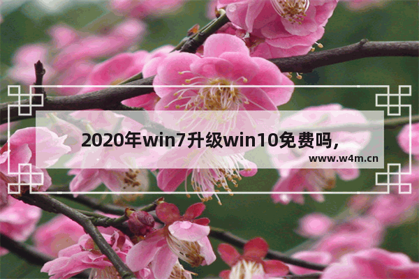 2020年win7升级win10免费吗,2020win7升级win10有必要吗