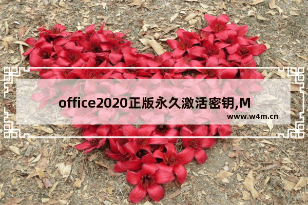 office2020正版永久激活密钥,Microsoft office2019激活密钥