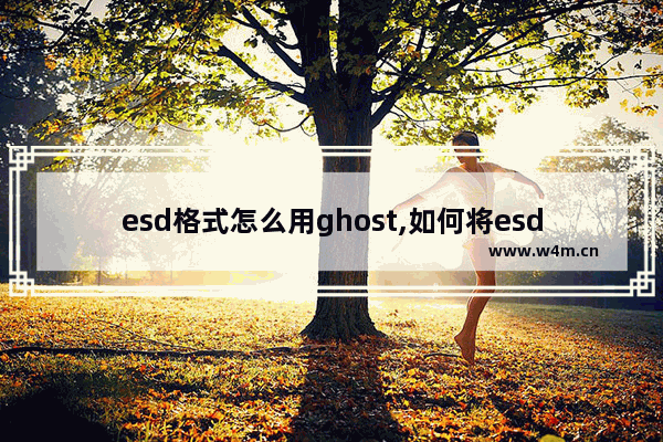 esd格式怎么用ghost,如何将esd转换成iso