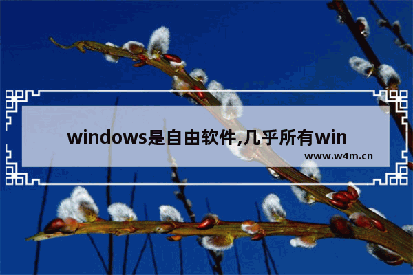 windows是自由软件,几乎所有windows应用程序都支持