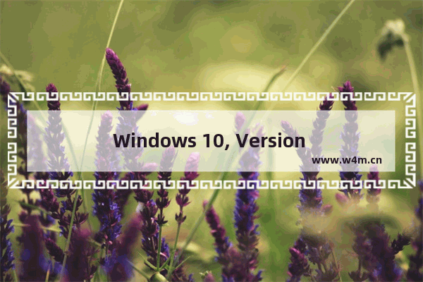 Windows 10, Version 1903,window10 1803正式版