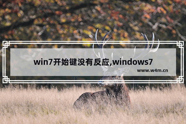 win7开始键没有反应,windows7键盘没反应