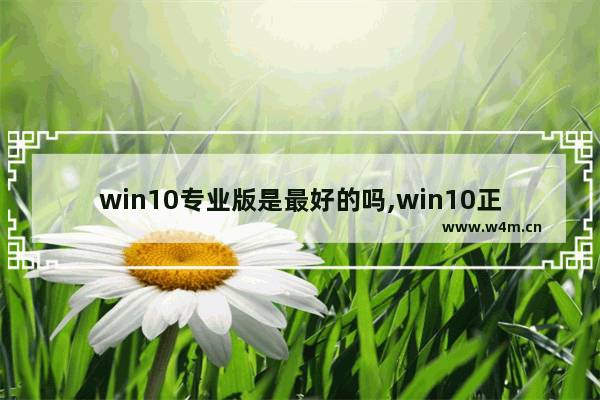 win10专业版是最好的吗,win10正式版和专业版