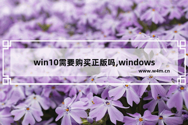 win10需要购买正版吗,windows10要买正版软件吗