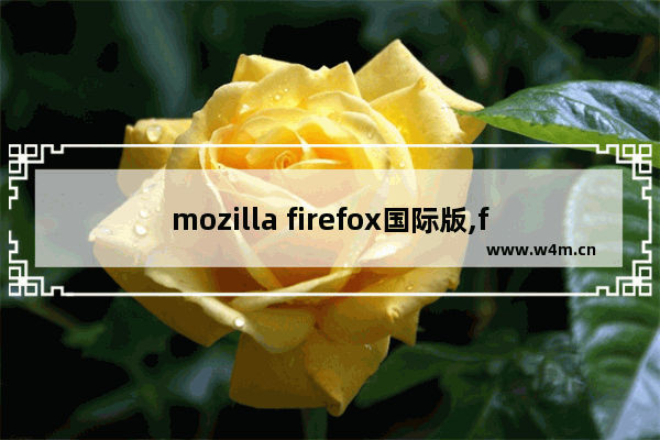 mozilla firefox国际版,firefox翻新