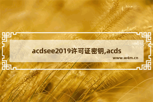 acdsee2019许可证密钥,acdsee2021旗舰版许可证密钥