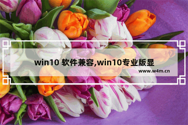 win10 软件兼容,win10专业版显示测试模式