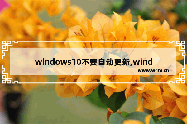 windows10不要自动更新,windows10如何手动更新