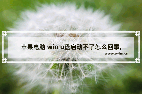 苹果电脑 win u盘启动不了怎么回事,苹果电脑用u盘装系统怎么没u盘启动