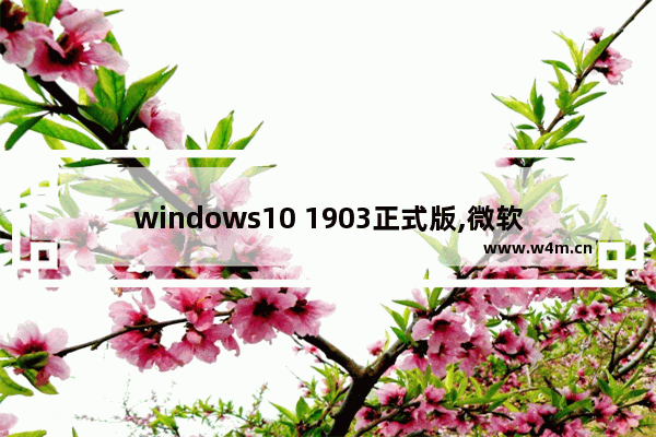 windows10 1903正式版,微软win101909