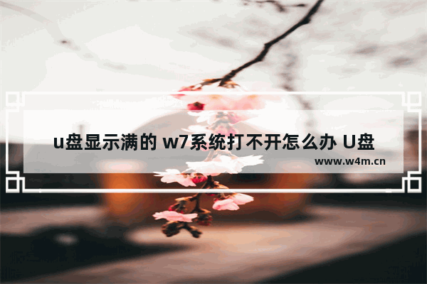 u盘显示满的 w7系统打不开怎么办 U盘满了怎么办，W7系统无法启动