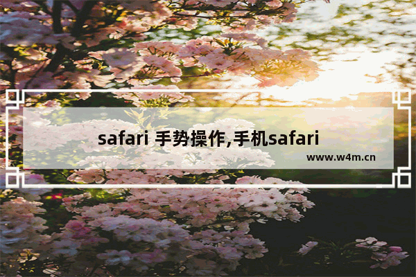 safari 手势操作,手机safari快捷手势