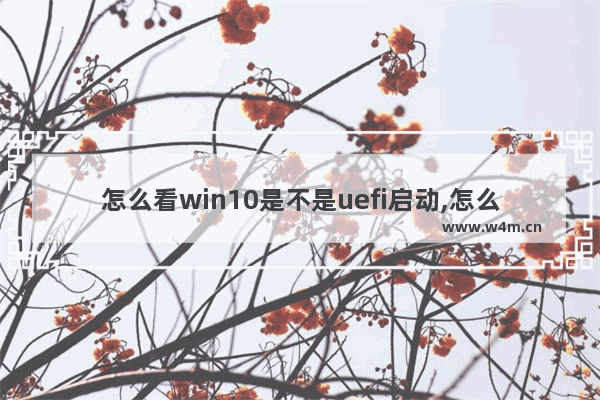 怎么看win10是不是uefi启动,怎么看是bios启动还是uefi启动