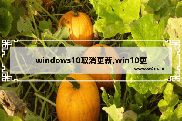 windows10取消更新,win10更新过程中怎么取消