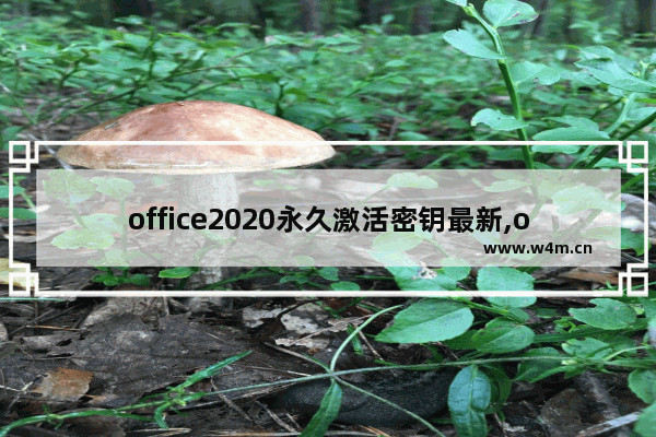 office2020永久激活密钥最新,office2019永久激活密钥最新