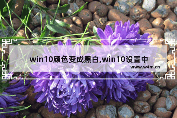 win10颜色变成黑白,win10设置中的颜色怎么由黑色变成白色