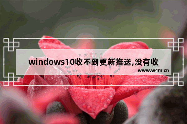 windows10收不到更新推送,没有收到windows11更新推送