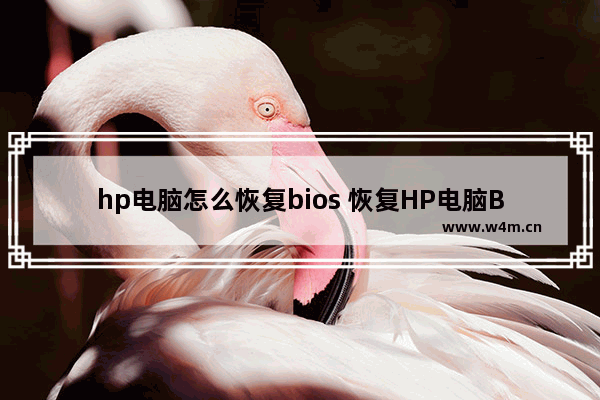 hp电脑怎么恢复bios 恢复HP电脑BIOS的方法