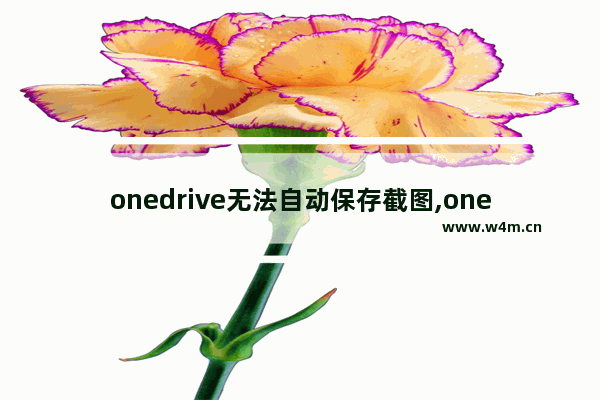 onedrive无法自动保存截图,onedrive怎么截屏