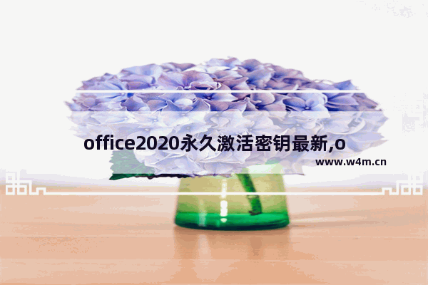 office2020永久激活密钥最新,office2019永久激活密钥最新