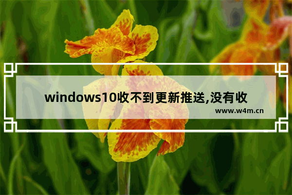 windows10收不到更新推送,没有收到windows11更新推送