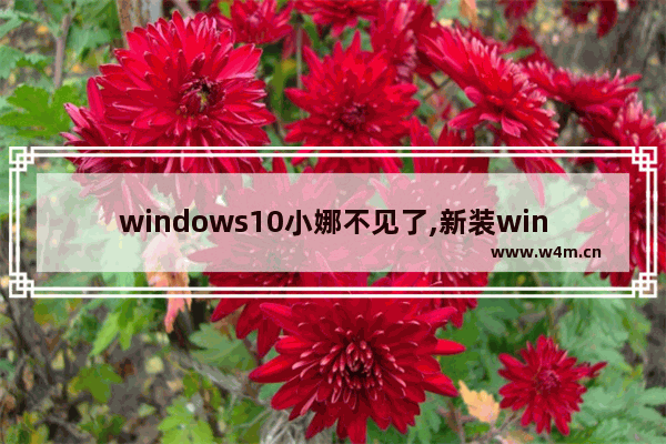 windows10小娜不见了,新装win10跳过小娜