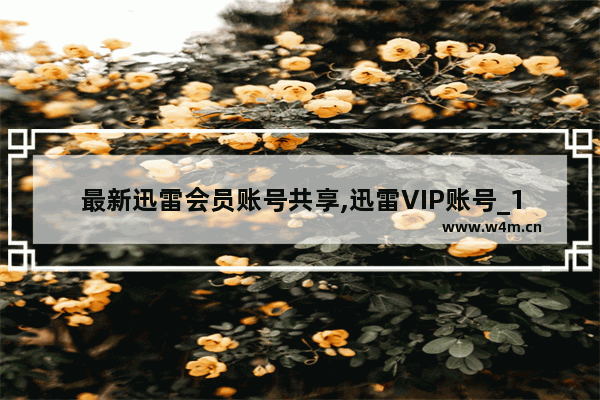 最新迅雷会员账号共享,迅雷VIP账号_1