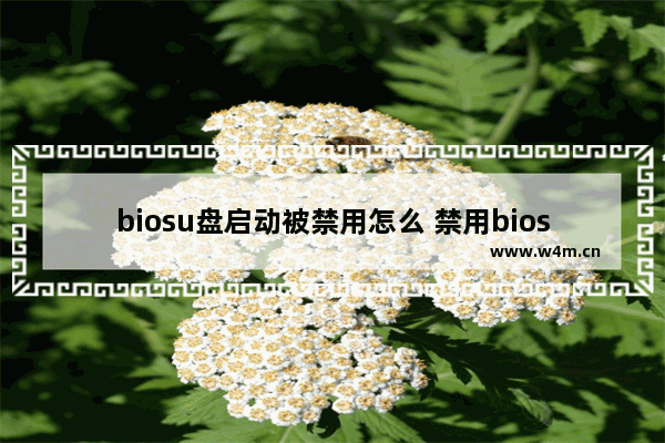 biosu盘启动被禁用怎么 禁用biosu盘启动应对方法