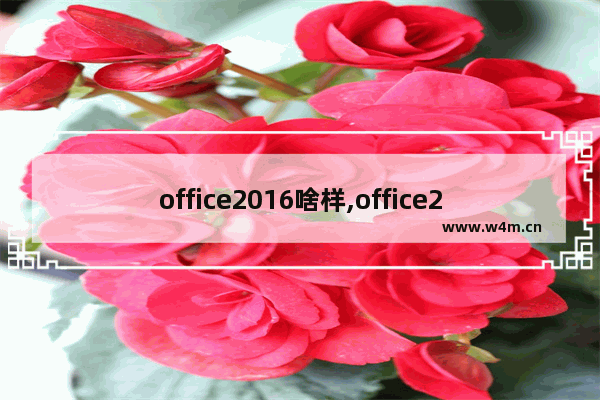 office2016啥样,office2016和office