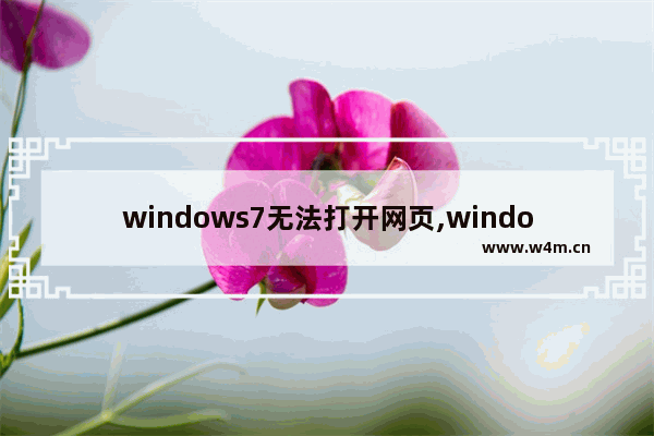 windows7无法打开网页,windows7浏览器打不开网页是什么原因