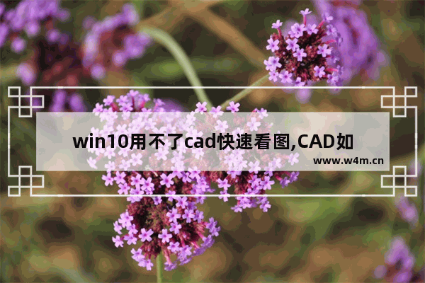 win10用不了cad快速看图,CAD如何快速关闭所有图层