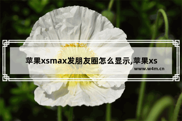 苹果xsmax发朋友圈怎么显示,苹果xs max微信通知怎么显示内容