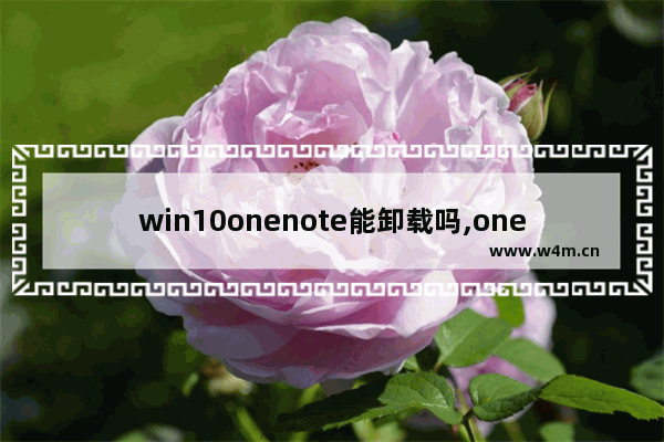 win10onenote能卸载吗,onenote for windows10可以卸载吗