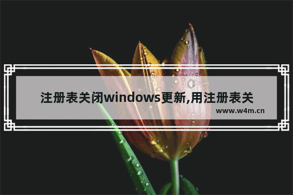 注册表关闭windows更新,用注册表关闭windows自动更新的步骤