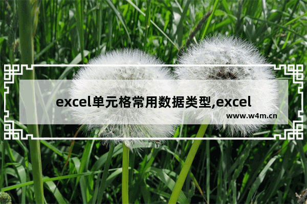 excel单元格常用数据类型,excel允许使用的数据类型有哪些