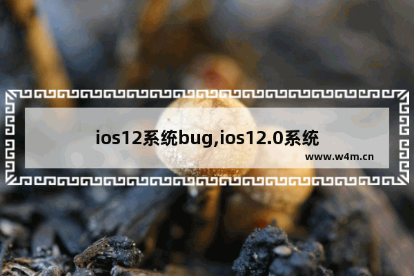 ios12系统bug,ios12.0系统bug