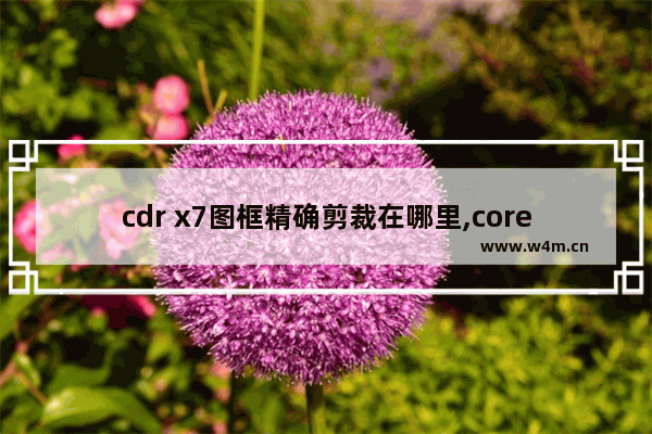 cdr x7图框精确剪裁在哪里,coreldraw x7入门教程