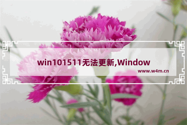 win101511无法更新,Windows11无法更新