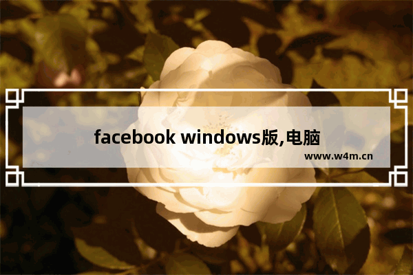 facebook windows版,电脑win怎么下载facebook软件