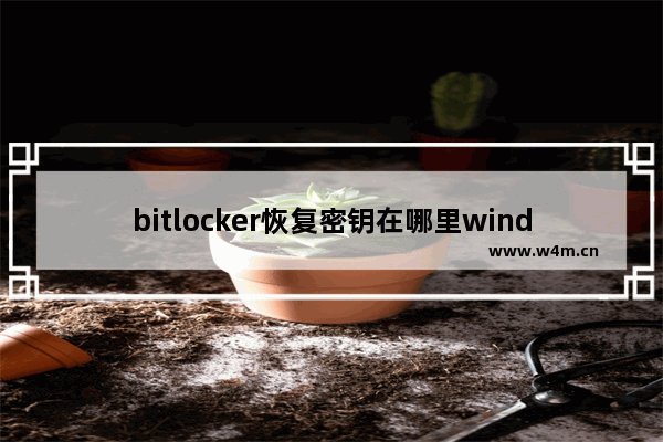 bitlocker恢复密钥在哪里window10,win10bitlocker恢复密钥怎么用_1