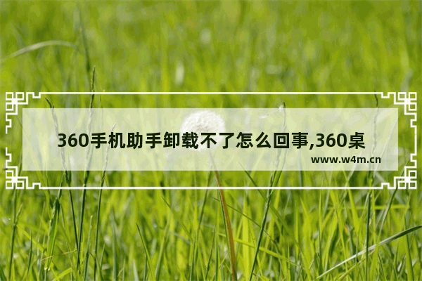 360手机助手卸载不了怎么回事,360桌面助手无法卸载