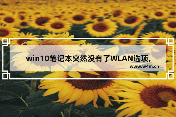 win10笔记本突然没有了WLAN选项,windows10突然没有wlan