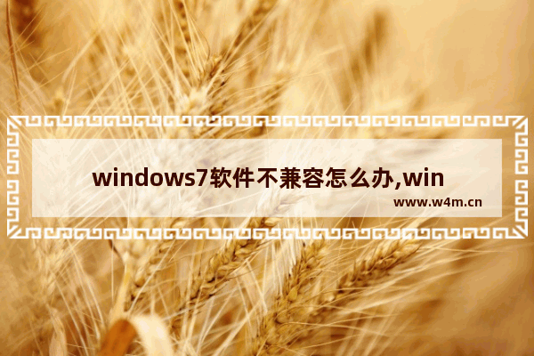 windows7软件不兼容怎么办,win7不兼容的应用程序怎么解决