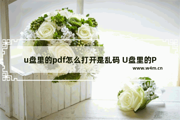 u盘里的pdf怎么打开是乱码 U盘里的PDF乱码怎么办？